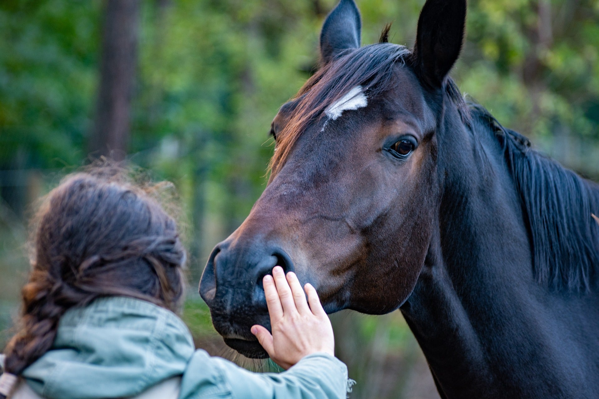 Horsemanship