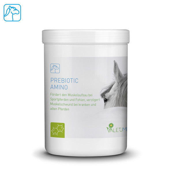 Valetumed Prebiotic Amino 0,75 kg