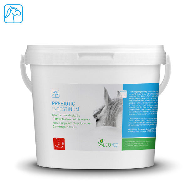 Valetumed Prebiotic Intestinol 2,5 kg