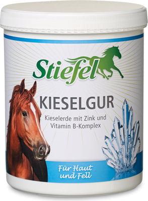 Stiefel Kieselgur 1 kg