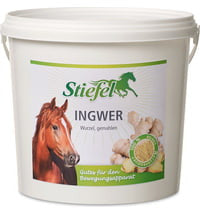 Stiefel Ingwer 1 kg