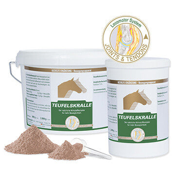 Equipower Teufelskralle 80 % 800 gr.