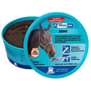 Derby Horslyx Mint 650 gr.