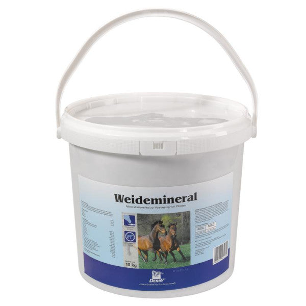 Derby Weidemineral 20 kg