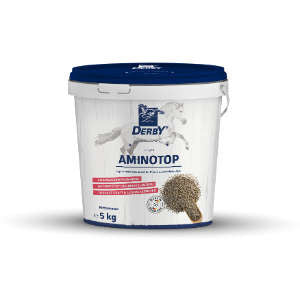 Derby Aminotop 5 kg